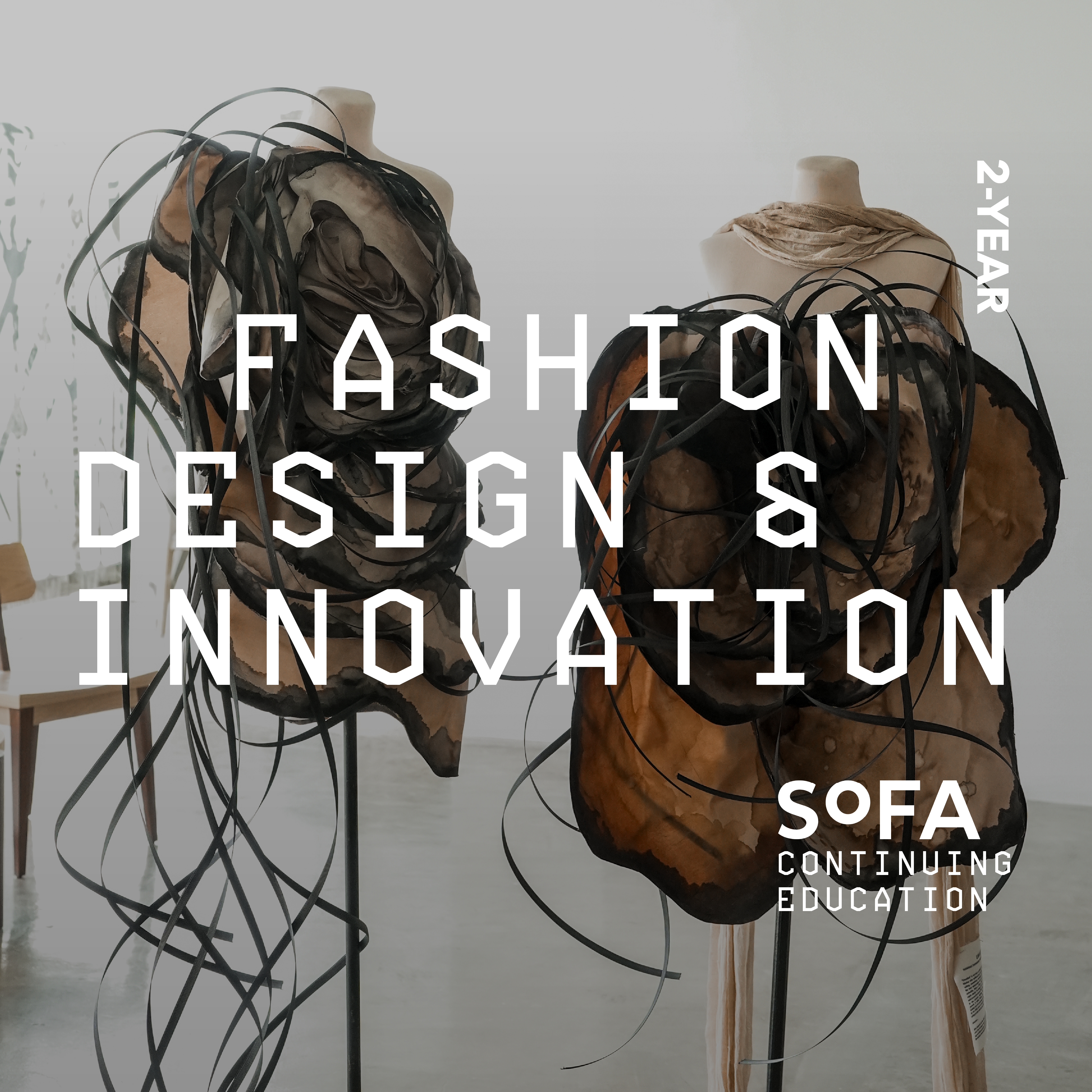 2 Year in Fashion Design and Innovation