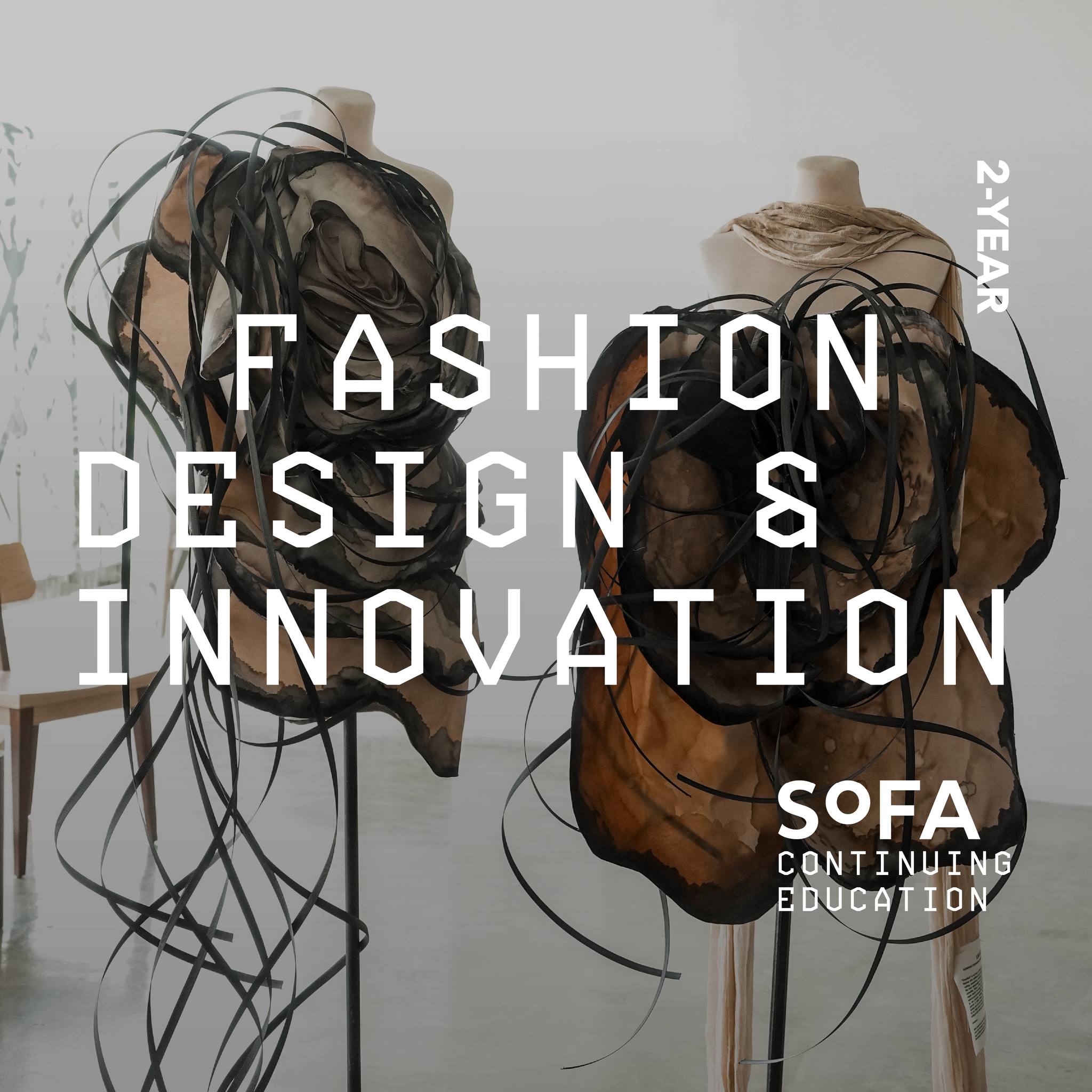 2 Year in Fashion Design and Innovation